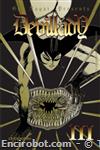 devil lady dvisual03 01